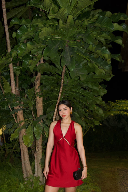 Preorder: Audrey Mini Dress