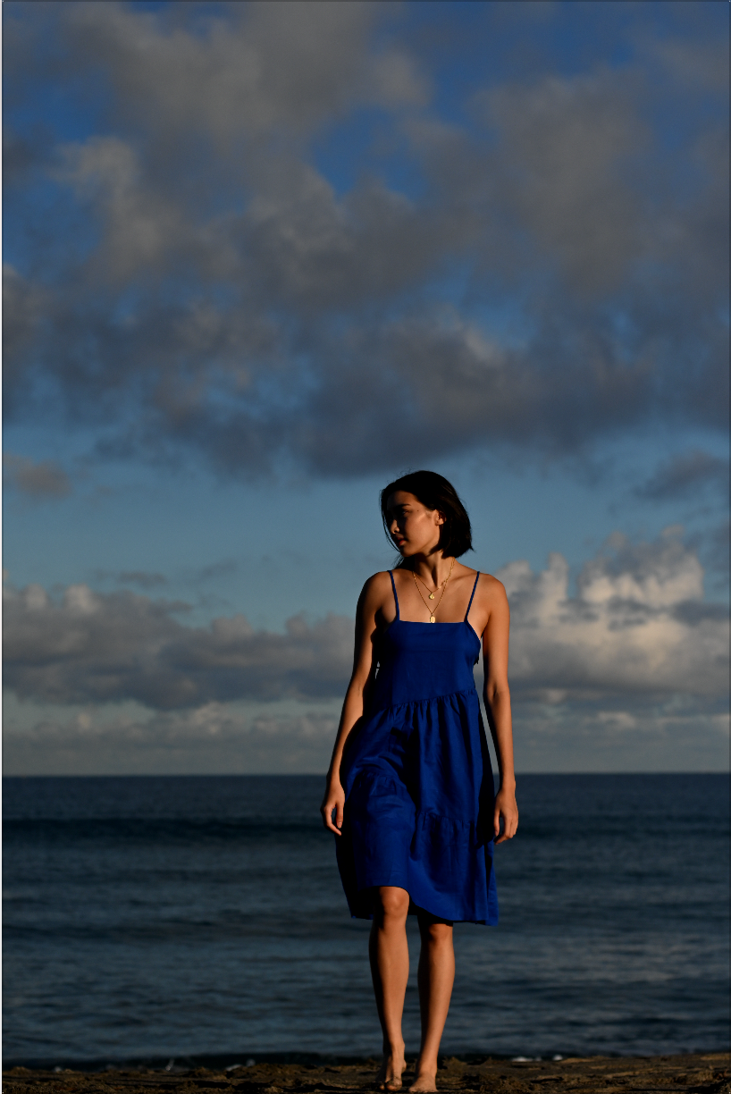 Preorder: Emilia Dress