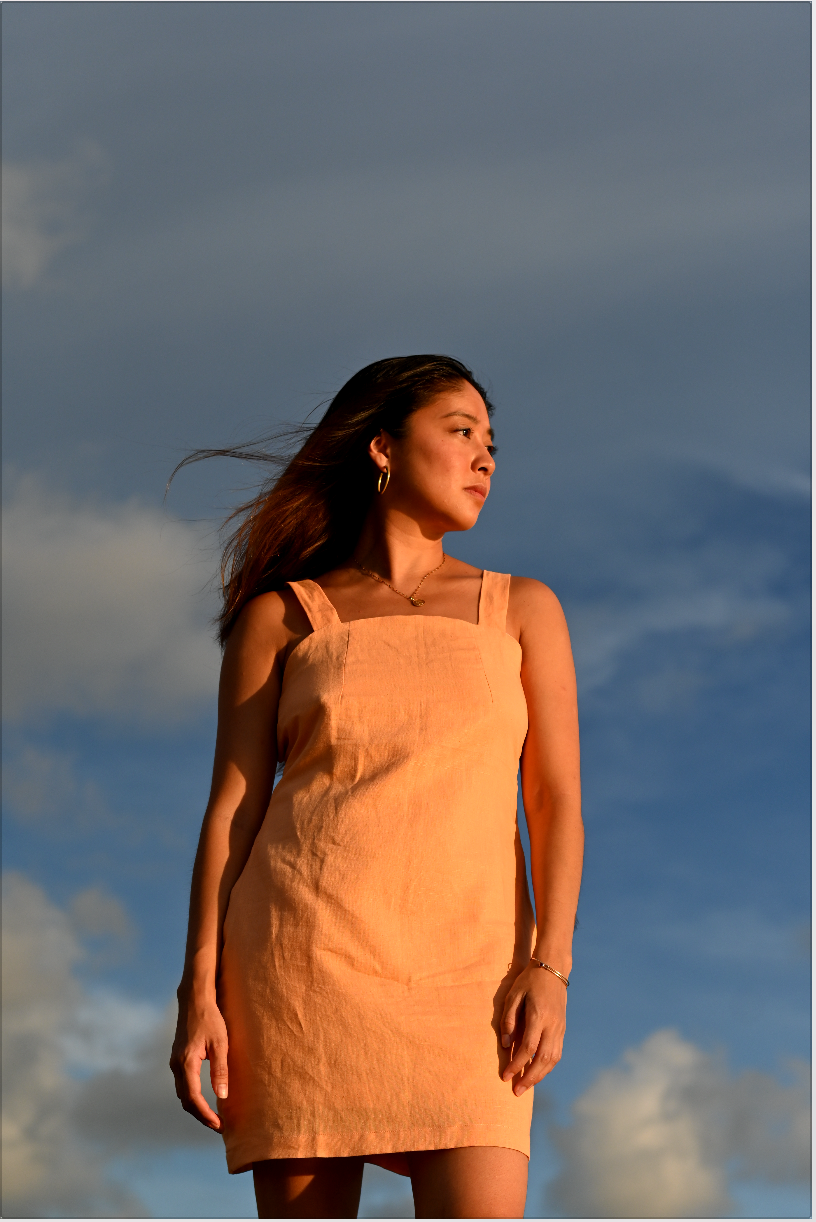 Preorder: Luisa Mini Dress