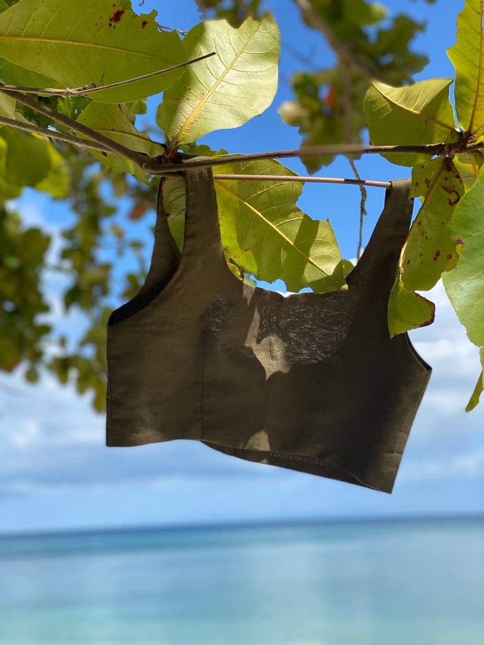 Preorder: Isabella Crop