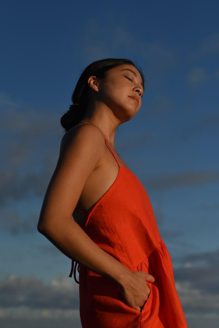 Preorder: Emilia Dress