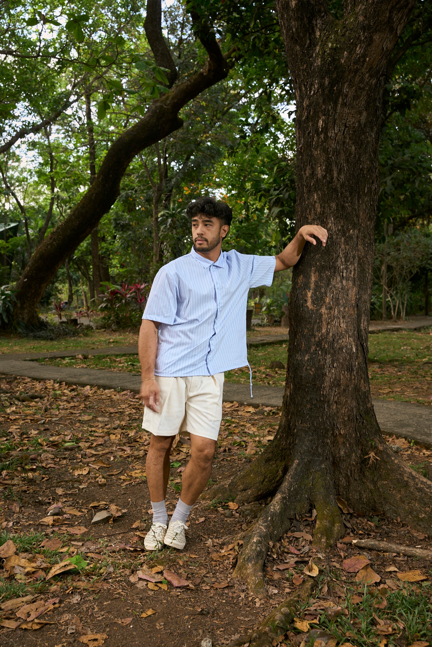 Preorder: Lino Polo